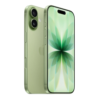 Apple iPhone 17 in Sage