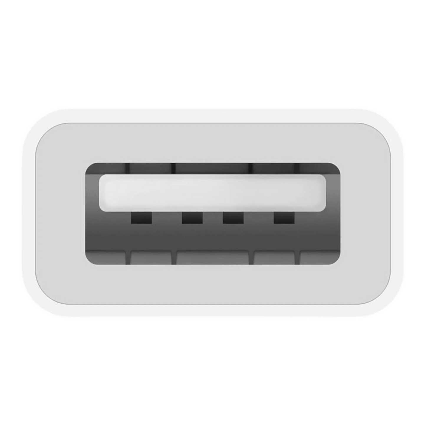 USB-C to USB Adapter - alAsil USB-C to USB Adapter (M1JM2) 45676e-4.myshopify.com Apple USB-C to USB Adapter (M1JM2) 45676e-4.myshopify.com Apple