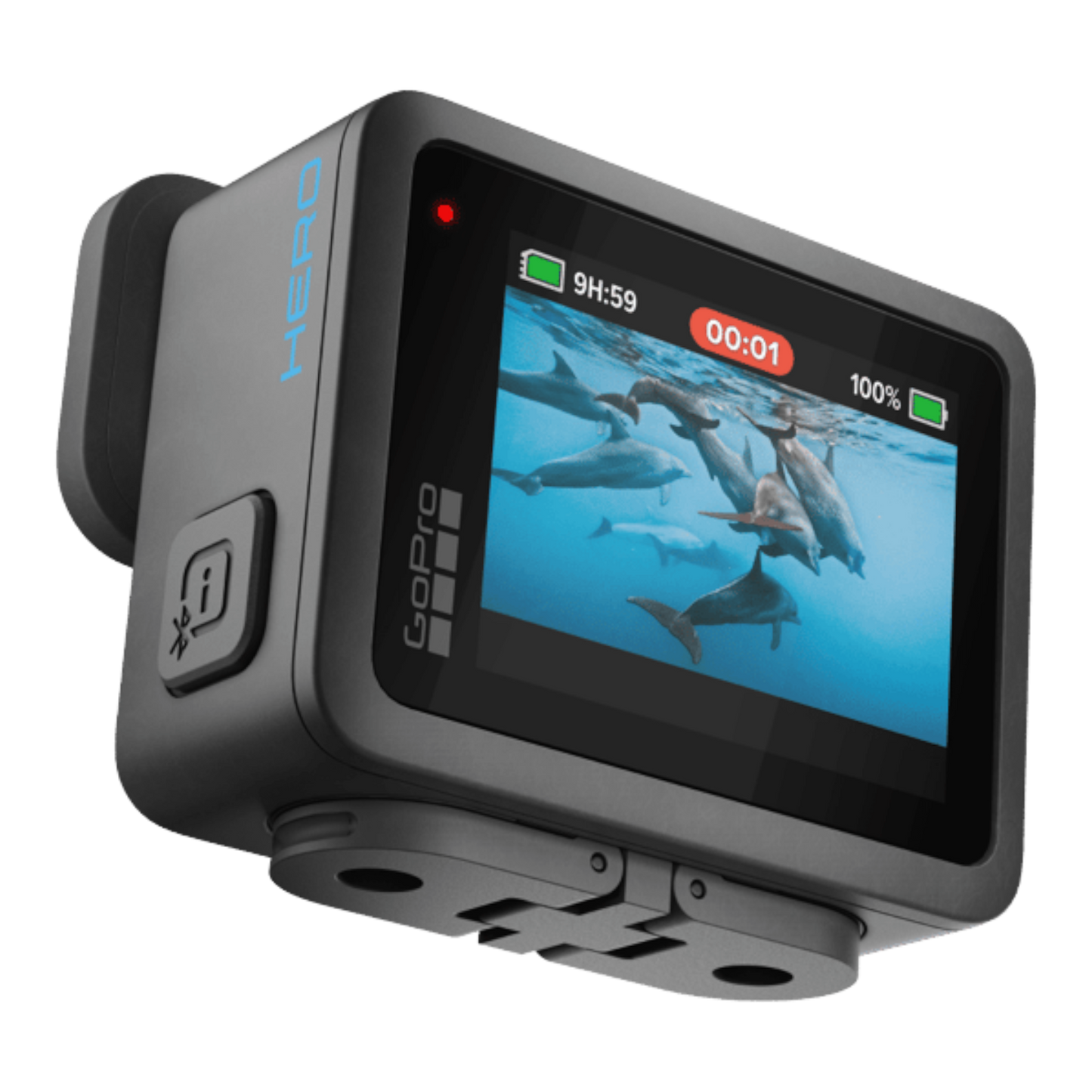 alAsil GoPro HERO 2024 action camera with a rear touchscreen display showing a dolphin video in a compact black body