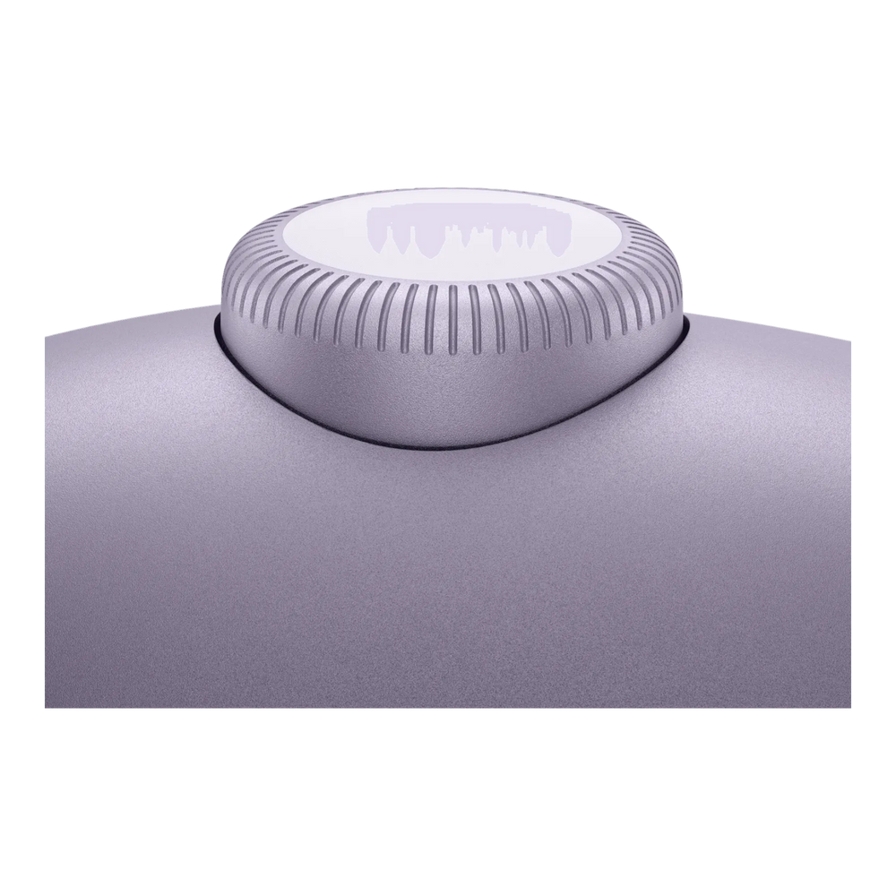 AirPods Max Purple USB-C mesh headband