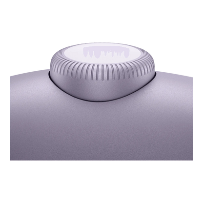 AirPods Max Purple USB-C mesh headband