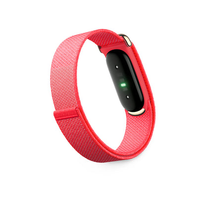 Google Fitbit Air Berry | alAsil