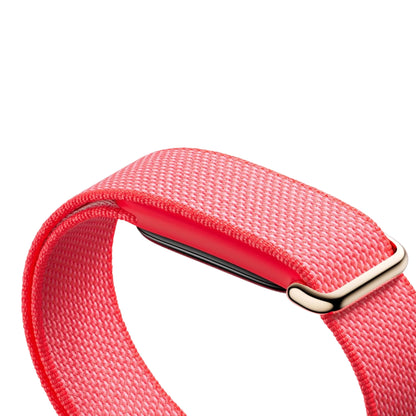 Google Fitbit Air Berry | alAsil