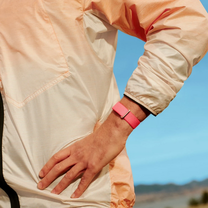 Google Fitbit Air Berry | alAsil