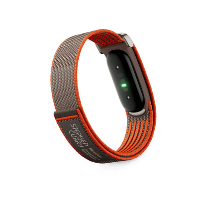 Google Fitbit Air Rye | alAsil