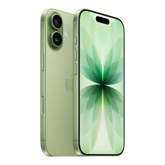 Apple iPhone 17 in Sage