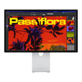 Apple Studio Display XDR with Nano-Texture Glass, VESA Mount - MFEQ4 (2026)